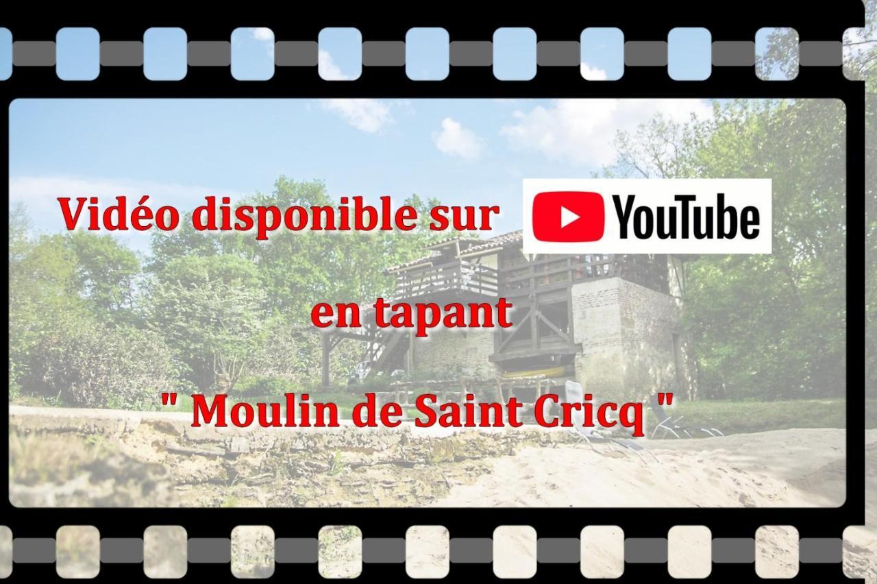 Moulin De Saint Cricq Villa Dış mekan fotoğraf